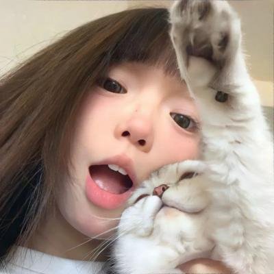 肚假情真