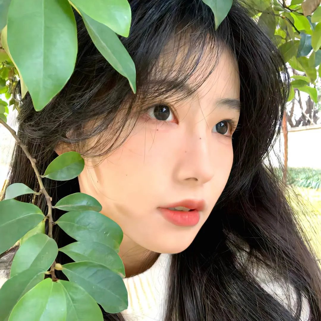 少女们向荒野进发